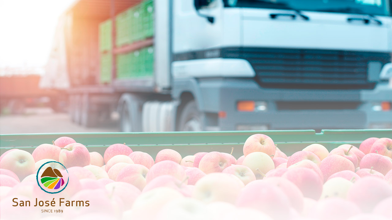 “Con Wherex pudimos profesionalizar nuestros procesos de licitaciones y hacerlos más eficientes y transparentes”